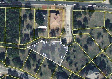 Gorgeous large lot that is fairly level with lots of trees! It - photo 14