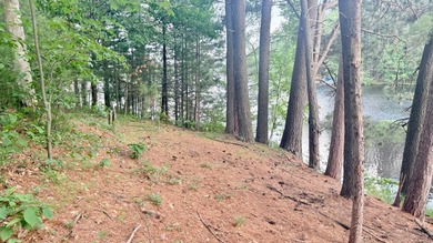 Build your Northwoods dream on this beautiful 0.34-acre wooded - photo 15