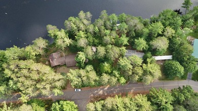Build your Northwoods dream on this beautiful 0.34-acre wooded - photo 16