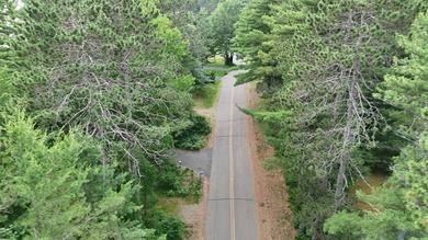 Build your Northwoods dream on this beautiful 0.34-acre wooded - photo 18
