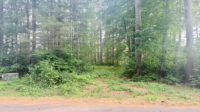 Build your Northwoods dream on this beautiful 0.34-acre wooded - photo 19