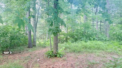 Build your Northwoods dream on this beautiful 0.34-acre wooded - photo 20