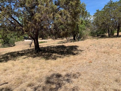 Gorgeous large lot that is fairly level with lots of trees! It - photo 20