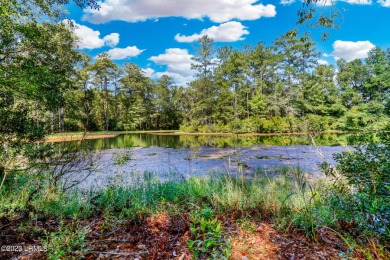 (private lake, pond, creek) Lot For Sale in Seabrook South Carolina