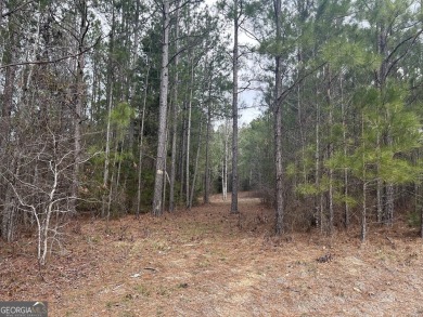 Lake Lot For Sale in Elberton, Georgia