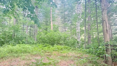 Build your Northwoods dream on this beautiful 0.34-acre wooded - photo 21