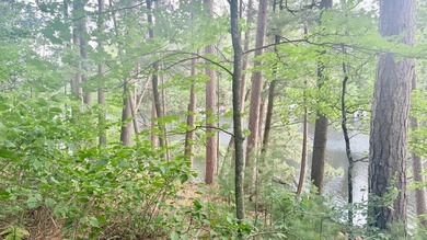 Build your Northwoods dream on this beautiful 0.34-acre wooded - photo 22