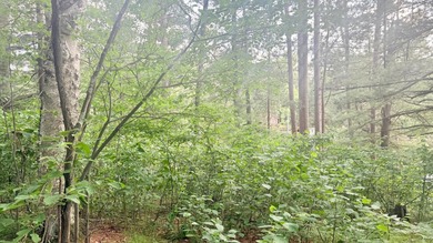 Build your Northwoods dream on this beautiful 0.34-acre wooded - photo 23