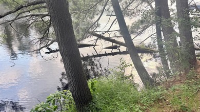 Build your Northwoods dream on this beautiful 0.34-acre wooded - photo 24