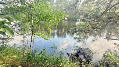 Build your Northwoods dream on this beautiful 0.34-acre wooded - photo 25