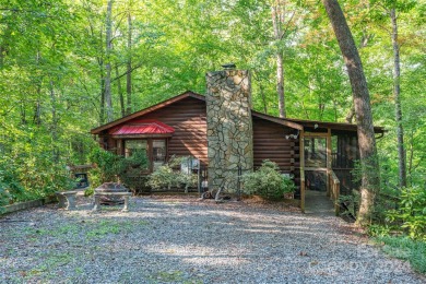 Bald Mountain Lake Home For Sale in Lake Lure North Carolina