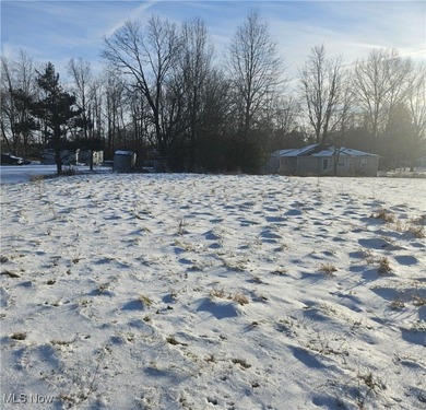 Muzzy Lake Lot For Sale in Rootstown Ohio