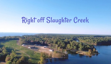 Toledo Bend Reservoir Lot For Sale in Many Louisiana