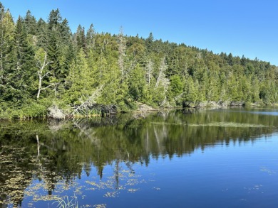 Rangeley Lake Acreage For Sale in Rangeley Maine