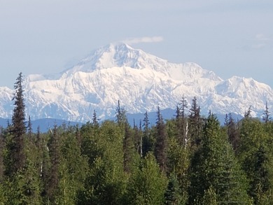 Lake Home For Sale in Trapper Creek, Alaska