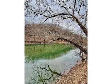 Gasconade River Acreage For Sale in Unincorporated Missouri