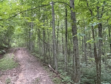 Carters Lake Lot Sale Pending in Ranger Georgia