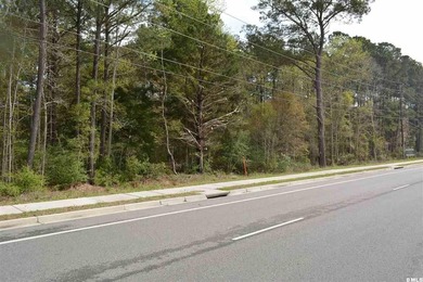 Loads of potential for this 9.37 acre parcel on Savannah Highway - photo 1