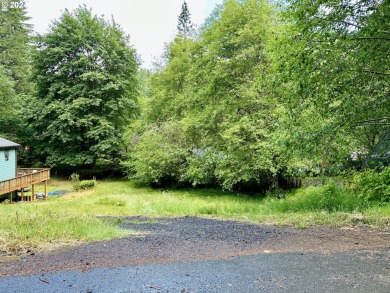 Fishhawk Lake Lot For Sale in Birkenfeld Oregon