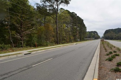 Loads of potential for this 9.37 acre parcel on Savannah Highway - photo 2