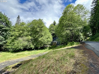 Your Pacific Northwest oasis here at Fishhawk Lake awaits. This - photo 2