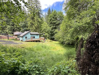 Your Pacific Northwest oasis here at Fishhawk Lake awaits. This - photo 3