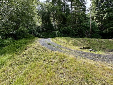 Your Pacific Northwest oasis here at Fishhawk Lake awaits. This - photo 4