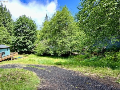 Your Pacific Northwest oasis here at Fishhawk Lake awaits. This - photo 5