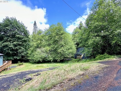 Your Pacific Northwest oasis here at Fishhawk Lake awaits. This - photo 6