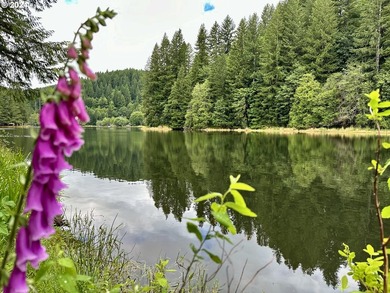 Your Pacific Northwest oasis here at Fishhawk Lake awaits. This - photo 8