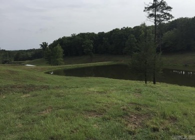 Stunning mountain views and open pastureland sets the scene for - photo 11
