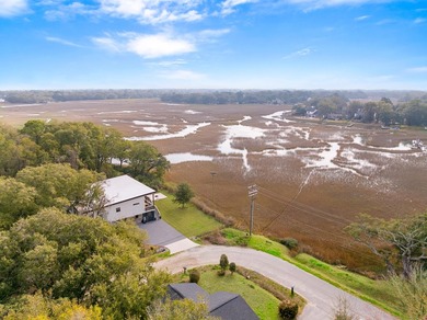 A rare opportunity to experience the very best of the Lowcountry - photo 38