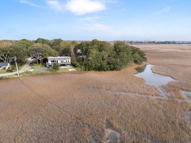 A rare opportunity to experience the very best of the Lowcountry - photo 40