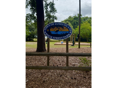 A rare opportunity to experience the very best of the Lowcountry - photo 41