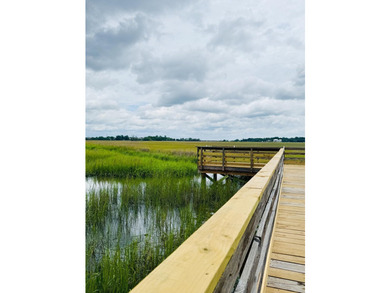 A rare opportunity to experience the very best of the Lowcountry - photo 43