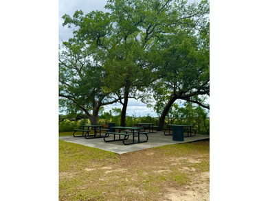 A rare opportunity to experience the very best of the Lowcountry - photo 44