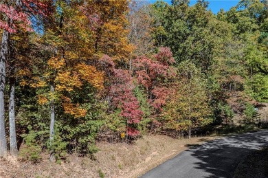 Lake Lot For Sale in Morganton, Georgia