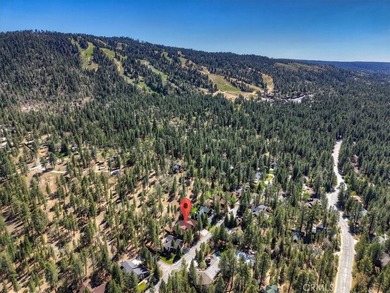 42285 Heavenly Valley - photo 46