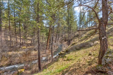 Lake Acreage For Sale in Goldendale, Washington