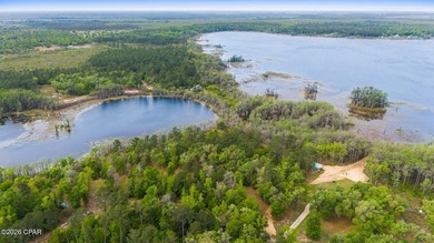 Very peaceful 1.58 acre waterfront property on Lucas Lake - photo 11