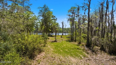 Very peaceful 1.58 acre waterfront property on Lucas Lake - photo 15