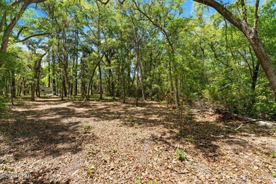Very peaceful 1.58 acre waterfront property on Lucas Lake - photo 19