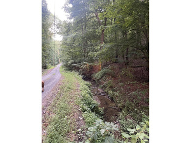 Carters Lake Lot Sale Pending in Ranger Georgia