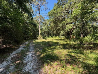 (private lake, pond, creek) Acreage Active Under Contract in Tallahassee Florida