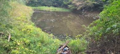 Lake Acreage For Sale in Huntington, West Virginia