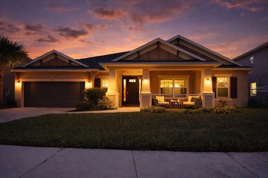 (private lake, pond, coastal) Home Sale Pending in Wesley Chapel Florida