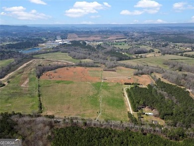 (private lake, pond, coastal) Acreage For Sale in Lyerly Georgia