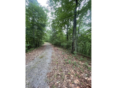 Carters Lake Lot Sale Pending in Ranger Georgia