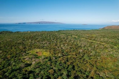 MAKENA RANCH -160 ACRES OF OCEANVIEW LEGACY LAND Offered at $37 - photo 16