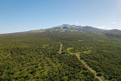 MAKENA RANCH -160 ACRES OF OCEANVIEW LEGACY LAND Offered at $37 - photo 18